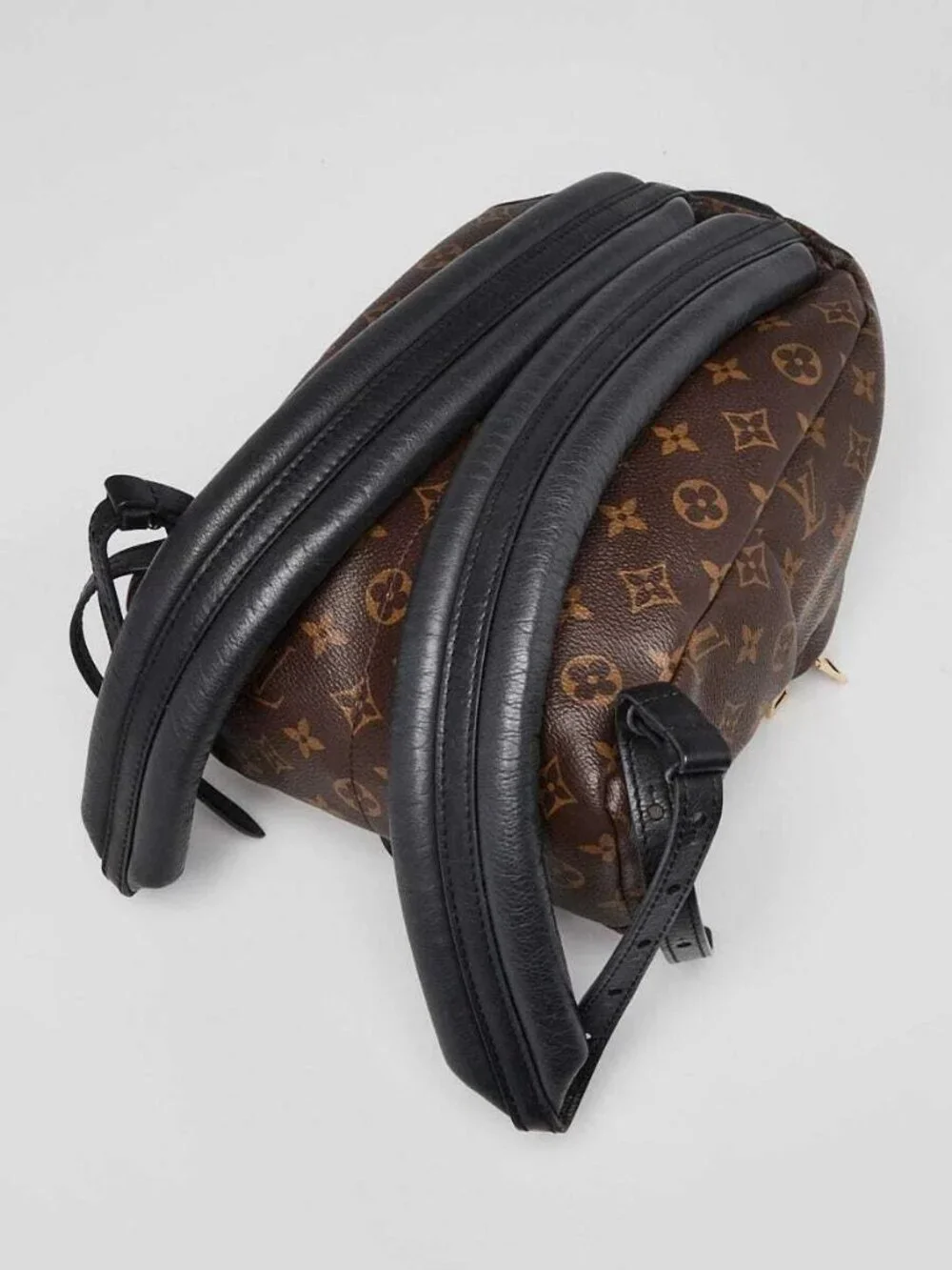 Louis Vuitton Monogram Canvas Palm Springs PM Backpack Bag